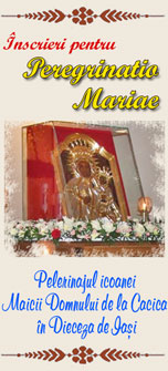 Peregrinatio Mariae